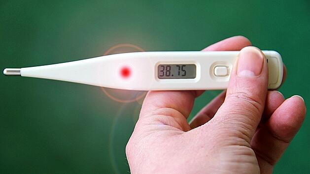 Stabthermometer sind preiswert und gut.