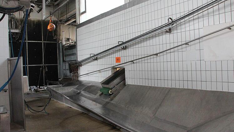 Die Rinder werden enthäutet ...