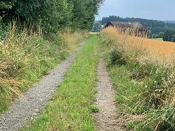 Stammbach: 350.000 Euro F&ouml;rderung f&uuml;r Radweg - Bau bereits gestartet