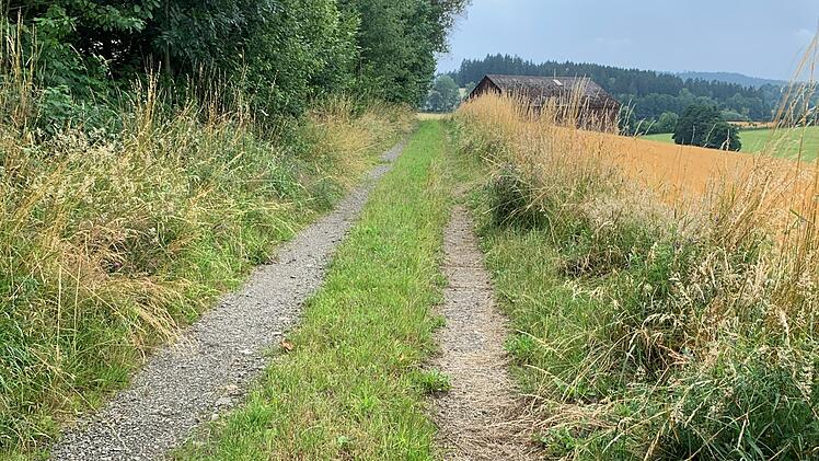 Stammbach: 350.000 Euro F&ouml;rderung f&uuml;r Radweg - Bau bereits gestartet