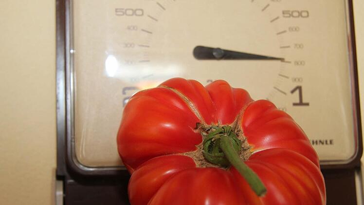 Eine echte Mega-Tomate. Fotos: Sonja Adam