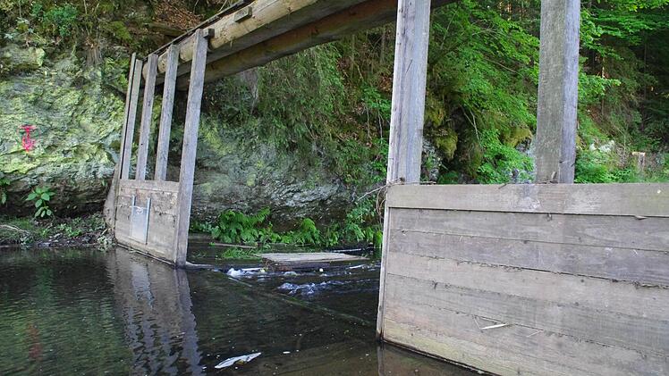 An der Wilden Rodach. Foto: Marco Meißner