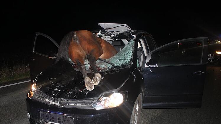 Bei einem Unfall im Versmold (NRW) durchschlug ein Pferd die Windschutzscheibe eines Autos. Die Stute starb sofort. Foto: Kreispolizeibehörde Gütersloh/dpa