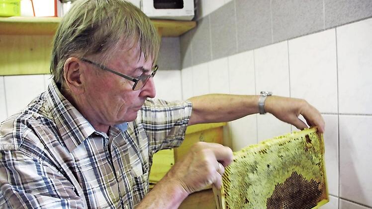 Peter Kirchner zeigt eine bebr&uuml;tete Wabe, die von dem kristallisierten Honig nur schwer freizukriegen ist.