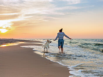 EU-Regeln Haustiere Reisen Hund Strand Urlaub Frau Meer K&uuml;ste Heimtierausweis Mikrochip Tollwutimpfung Tiergesundheit Reisevorbereitung Auslandsreise Europa Ferien Sommer Hundereise Reisedokumente Einreise Drittstaaten Transportf&auml;higkeit Urlaubsreise Haustier Reisebestimmungen Hundeurlaub Strandspaziergang Symbolbild Reiseplanung Frettchen Katze