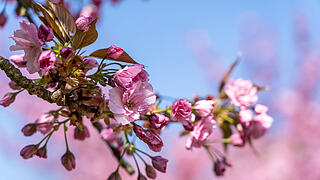 Wundersch&ouml;ne Naturfotos aus Bamberg.