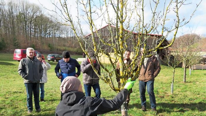 Michael Stromer (knieend) sieht sich den Stamm an und urteilt: Leider viel zu tief eingepflanzt wurde dieser Halbstamm-Baum auf einer Streuobstwiese.