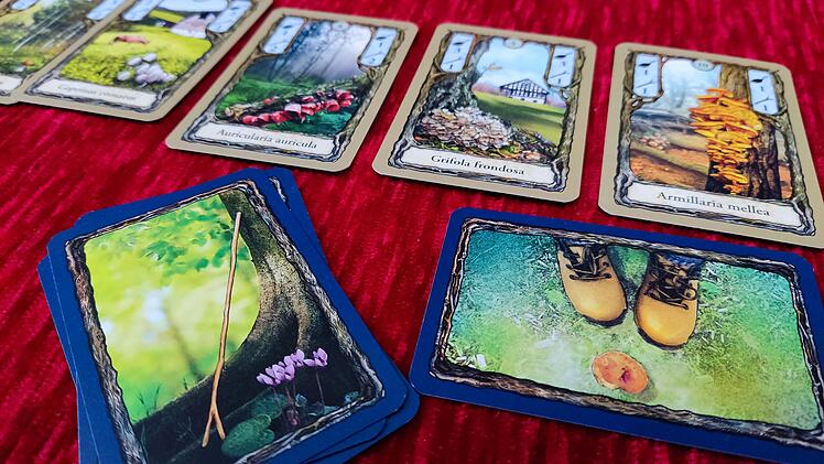 Spiele-Test Fungi: Kartenspiel für zwei Pilzsammler