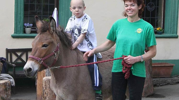 Maja Joel führt den Maulesel mit Sohn Leon im Hof umher, Muli Nummer zwei läuft frei herum. Die beiden Tiere sollen künftig für Touren auf dem Mühlenweg und auf den Wanderwegen rund um die Neumühle verliehen werden. Foto: Sonja Adam
