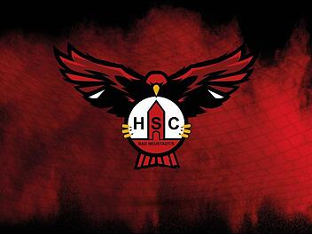 Das neue Wappen der Bayernliga-Handballer des HSC Bad Neustadt zeigt einen Rotmilan samt Vereinslogo.HSC Bad Neustadt