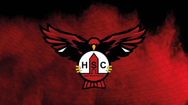 Das neue Wappen der Bayernliga-Handballer des HSC Bad Neustadt zeigt einen Rotmilan samt Vereinslogo.HSC Bad Neustadt