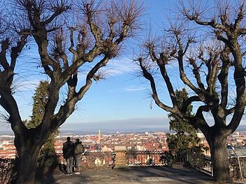 Hoch über den Dächern der Stadt genießen Spaziergänger den Michelsberger Terrassengarten.  Michael Wehner