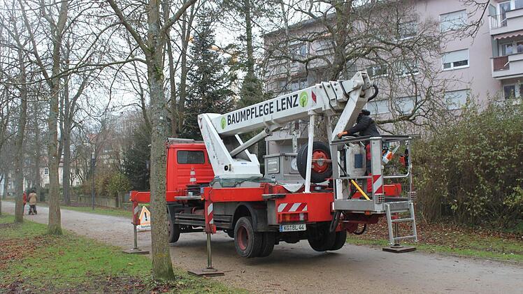 Unentbehrliches Utensil für Baumpfleger ist der Hubsteiger. Foto: Mäuser