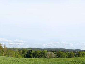 Foto: Schedel