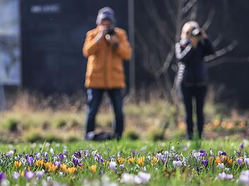 Frühlingswetter in Köln