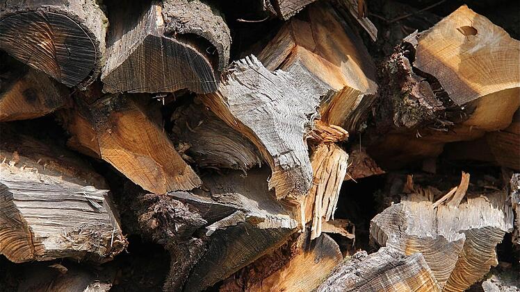 Die Holzernte war das Hauptthema in der Gemeinderatssitzung Wartmannsroth. Der Gemeinderat konnte sich über einen Gewinn in Höhe von 140000 Euro freuen. Foto: Gerd Schaar