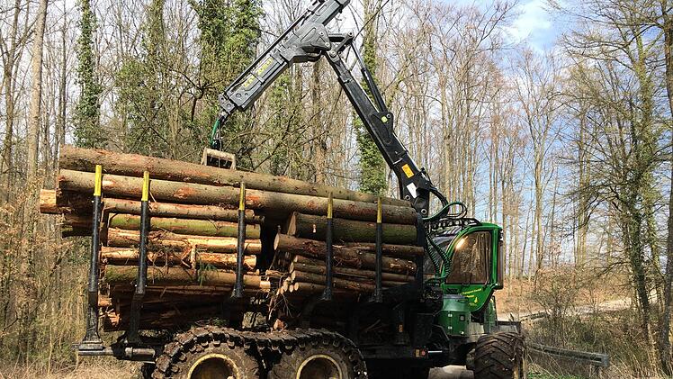 Noch immer wird auch bei Scheßlitz vom Käfer befallenes Holz aus dem Wald geholt. Foto: Anette Schreiber