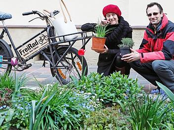 Cornelia Morgenroth und Denis Hebert knien für den Fototermin mit Kräuterstöckchen an einem Beet in der Herzog-Max-Straße, das Anwohner mit Blumen verschönert haben. Foto: Matthias Hoch