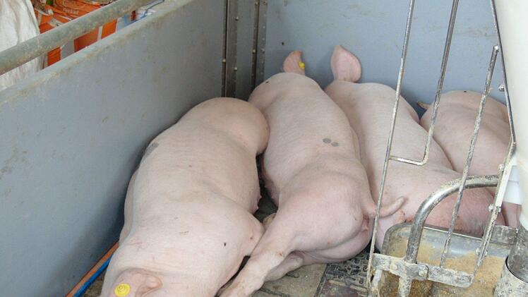 Foto: Petra Malbrich