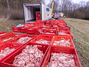 Fleischtransporter kommt bei Mürsbach von Straße ab