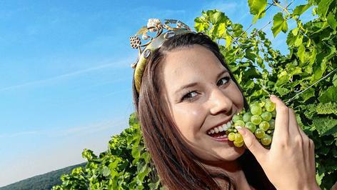 Offizieller Start der Weinlese 2016 in Franken