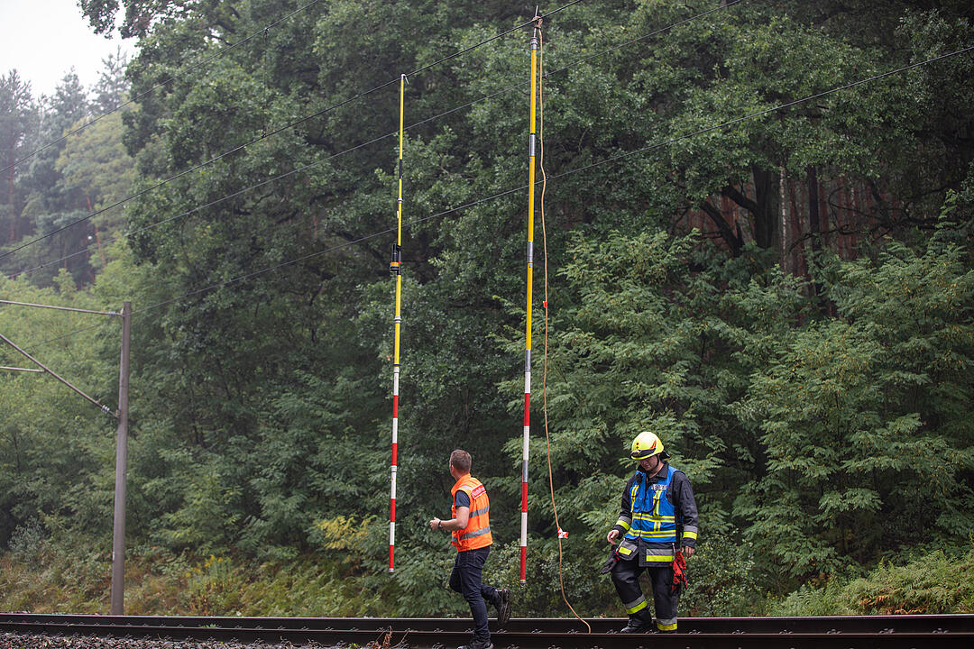 In der Nähe von Roth: Baum stürzt auf Gleise - Zugverbindung lahm gelegt