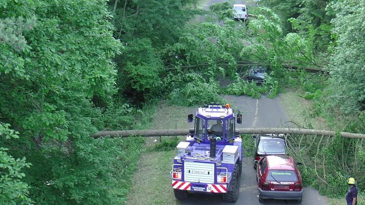 Zwar gestellt, aber durchaus vorstellbar: Ein Sturm hat Bäume auf die Straße und Autos geworfen.alle Fotos: Christian Licha