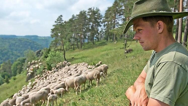 Wandersch&auml;fer mit ihren Hirten pr&auml;gen das Landschaftsbild am Obermain.  Foto: Andreas Hub