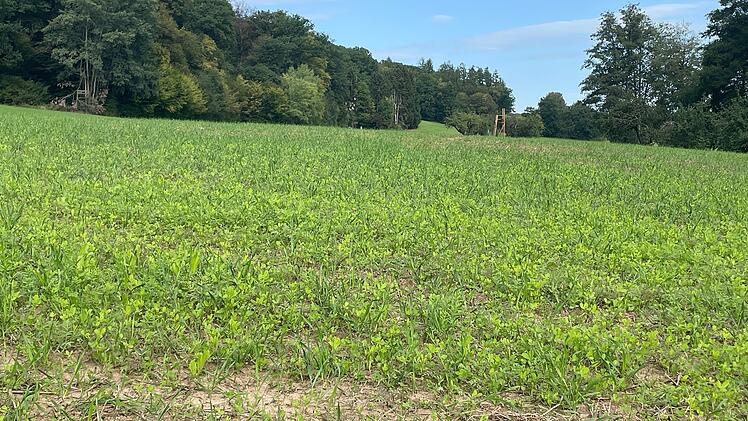 Traktorvorfall bei Konzert von Wincent Weiss - Gutachten soll Schaden an Wiese kl&auml;ren