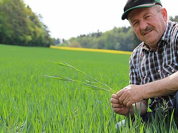 BBV-Kreisobmann und Landwirt Winfried Löwinger ist mit dem Wachstum seiner Pflanzen zufrieden. Bisher haben die Felder durch das trockenere Frühjahr noch keinen Schaden genommen. Foto: Katharina Müller-Sanke