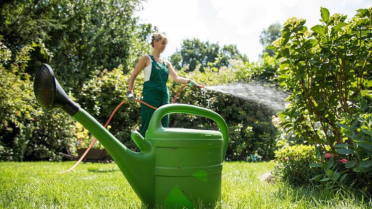 Der Gartenbau-Kreisverband gab im vergangenen Jahr wieder viele gute Tipps, etwa zur Nutzung von Regenwasser für den eigenen Garten.