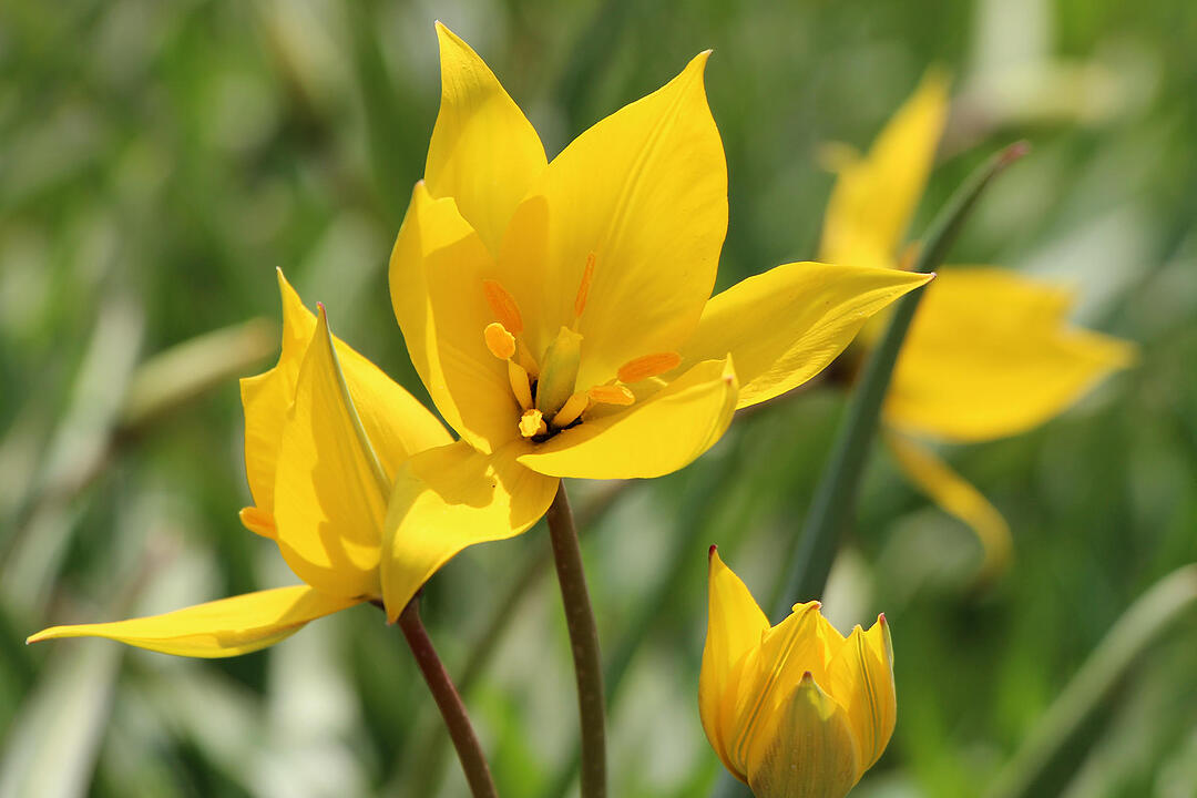 Fotos Konrad Thomann