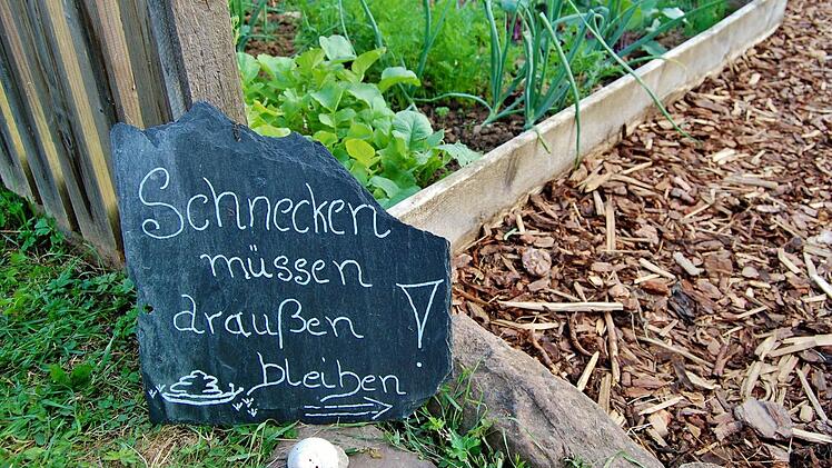 Eindrücke vom Tag der offenen Gartentür. Foto: Sigismund von Dobschütz