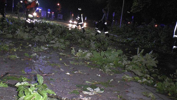 Die Helfer der Haßfurter Feuerwehr hatten alle Hände voll zu tun mit den Aufräumarbeiten. Sie machten die Straßen in der Stadt wieder passierbar. Foto: Christian Licha