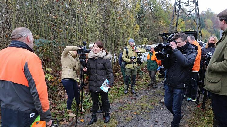 Medienauflauf bei der Baumfällung im Callenberger Forst. Foto: Barbara Herbst