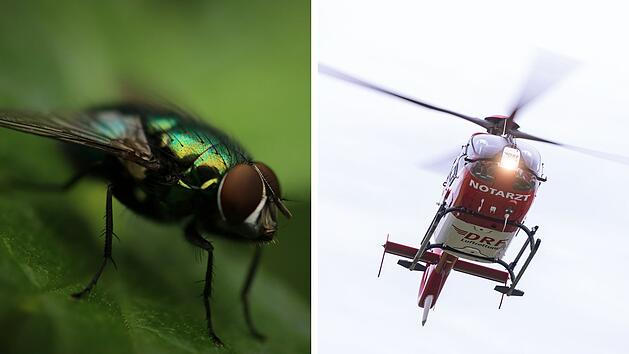 Kreis Bad Kissingen: Fliege sorgt für Rettungshubschrauber-Einsatz - Radlerin verletzt in Klinik