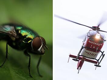 Kreis Bad Kissingen: Fliege sorgt für Rettungshubschrauber-Einsatz - Radlerin verletzt in Klinik