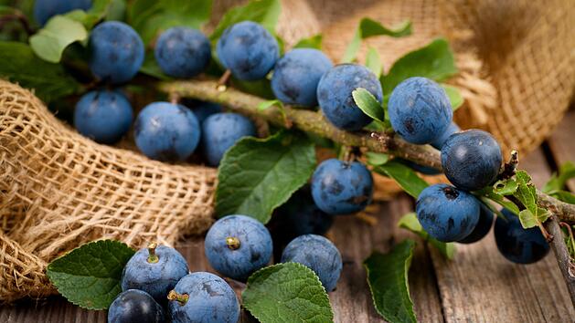 AdobeStock_69093841-scaled.jpeg