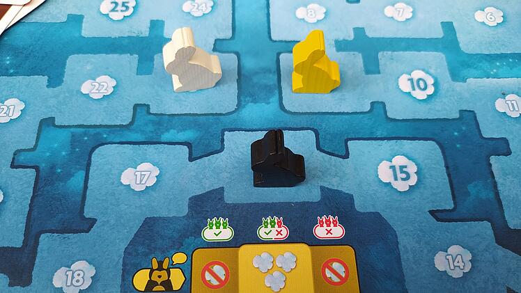 Spiele-Test Dixit: Rezension des fantasievollen Kommunikationsspiels - Spiel des Jahres 2010