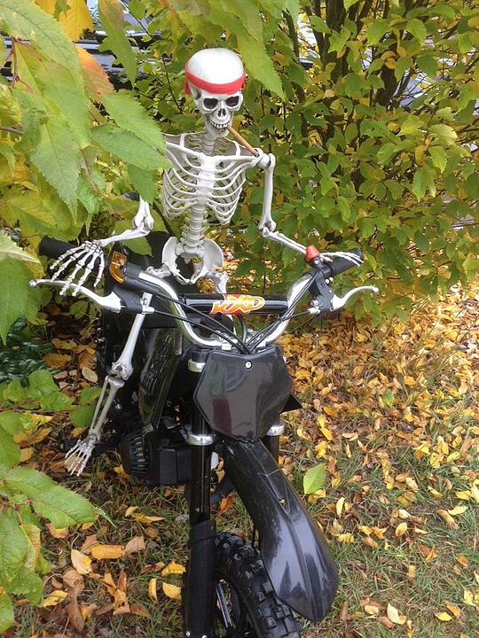 Leserbilder zu Halloween II