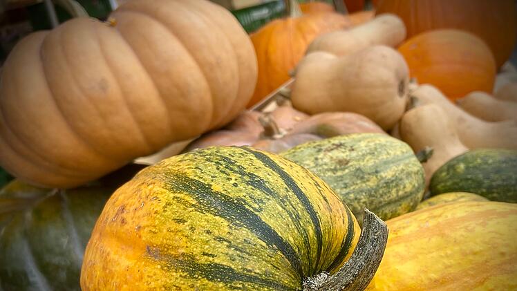 Coburg: Passend zur Jahreszeit - K&uuml;rbismarkt wird am Samstag veranstaltet