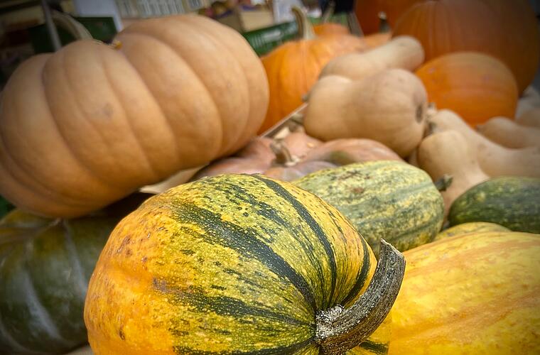 Coburger Kürbismarkt: Händler freuen sich auf Veranstaltung am Samstag