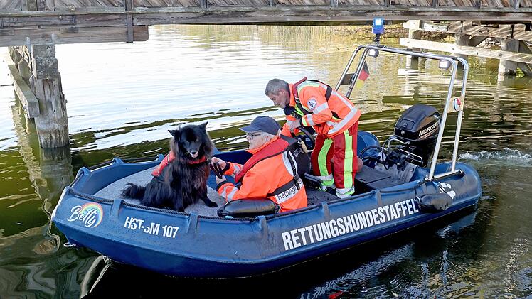 Suche nach vermisstem Achtjährigen mit Suchhund