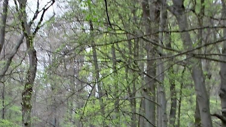 Viele der eingereichten Bilder entstanden beim Wandern.
