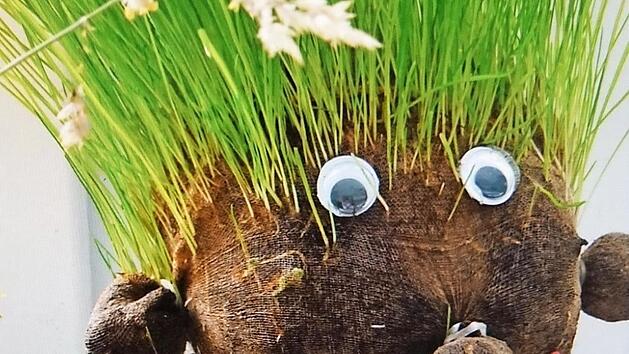 Auch eine Reihe toller Bastelideen beinhaltet die Brosch&uuml;re. Ein Hingucker f&uuml;r Haus und Garten ist etwa dieser gr&uuml;nhaarige Graskopf.