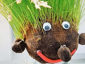 Auch eine Reihe toller Bastelideen beinhaltet die Broschüre. Ein Hingucker für Haus und Garten ist etwa dieser grünhaarige Graskopf.