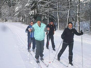 Eine Skiwandergruppe von einheimischen Skiwanderern und Kronacher Gästen haben großen Spaß auf der Loipe. Foto: K.- H. Hofmann