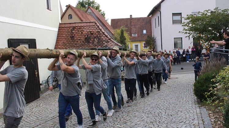 Mit vereinten Kräften tragen die Kerwasburschen die Fichte in den Hof des Gasthauses "Zur Sonne".