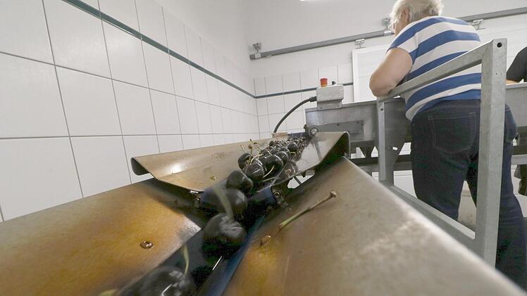 Die Sortieranlage Foto: Andreas Hofbauer