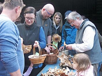 Pilzkundler Herbert Stang (rechts) wird nach seiner Pilzf&uuml;hrung die gefundenen Exemplare am Ausgangspunkt bestimmen und Fragen der Teilnehmer beantworten. Foto: BN Ebern